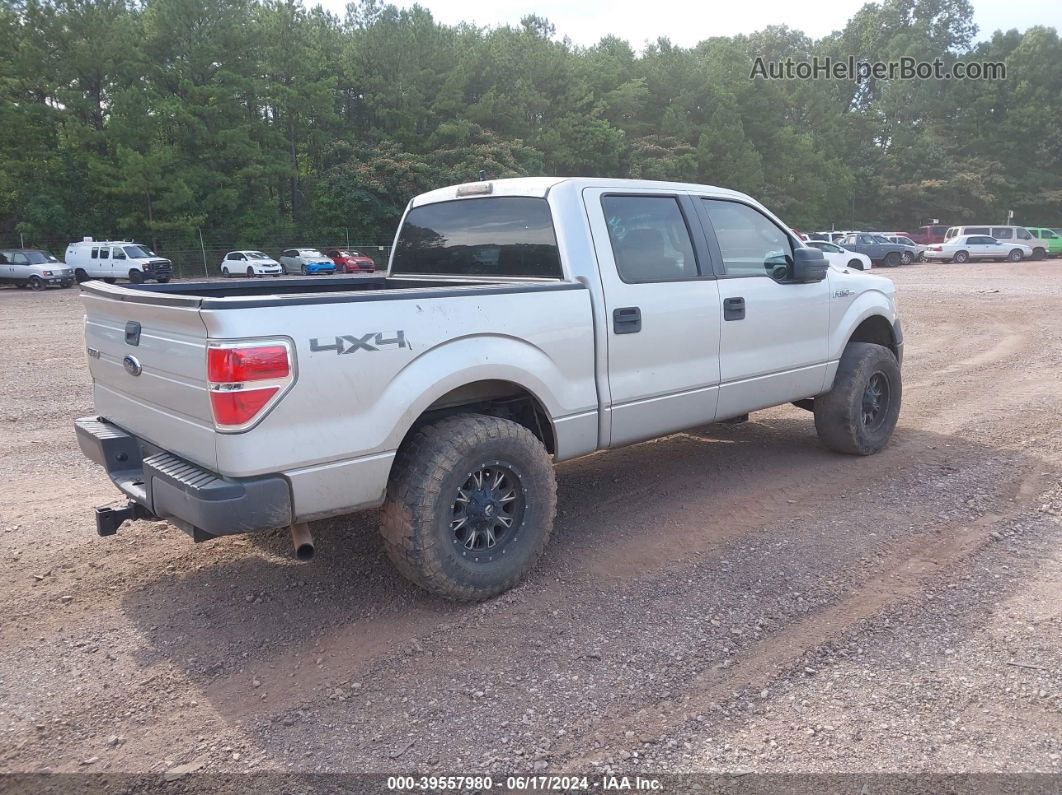 2010 Ford F-150 Xl/xlt Silver vin: 1FTEW1E8XAFA66904