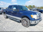 2010 Ford F-150 Xlt Blue vin: 1FTEW1E8XAFC74975