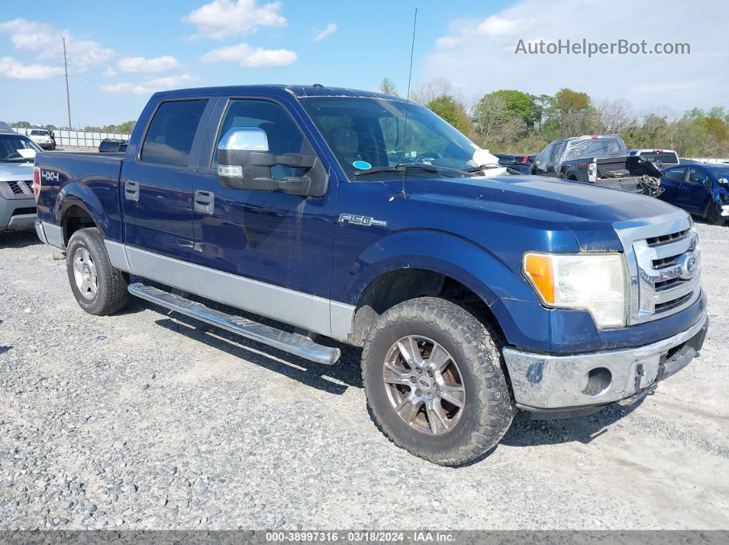 2010 Ford F-150 Xlt Blue vin: 1FTEW1E8XAFC74975