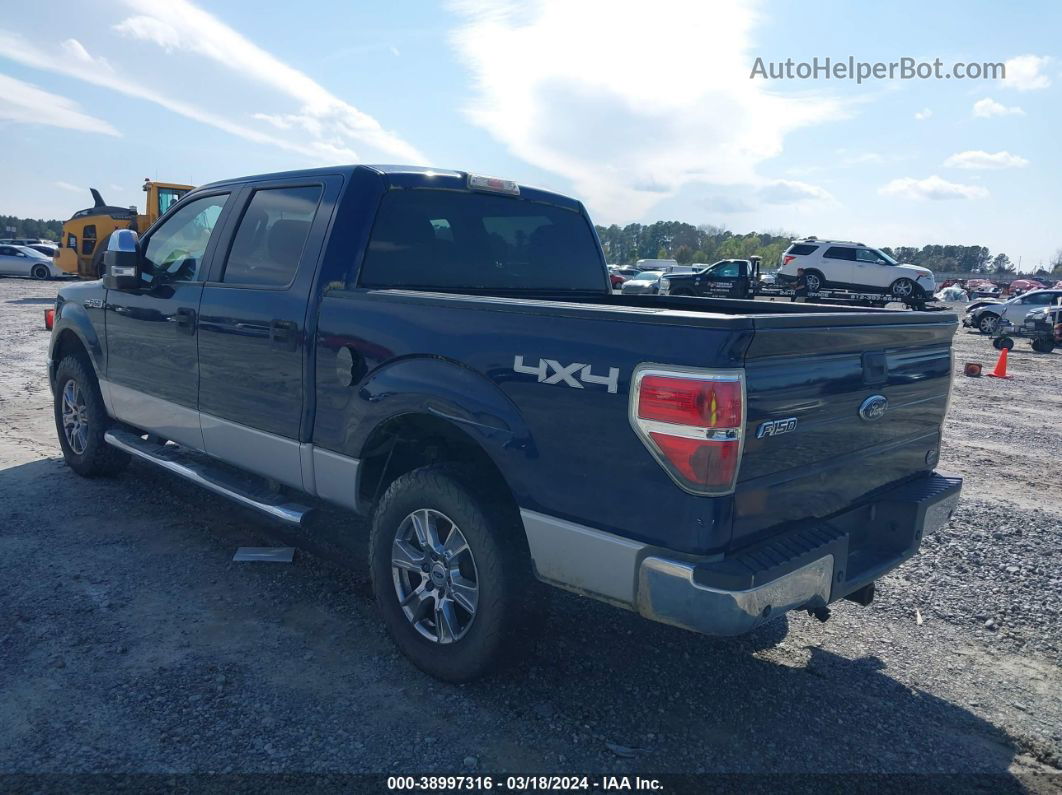 2010 Ford F-150 Xlt Blue vin: 1FTEW1E8XAFC74975