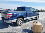 2010 Ford F-150 Xlt Blue vin: 1FTEW1E8XAFC74975