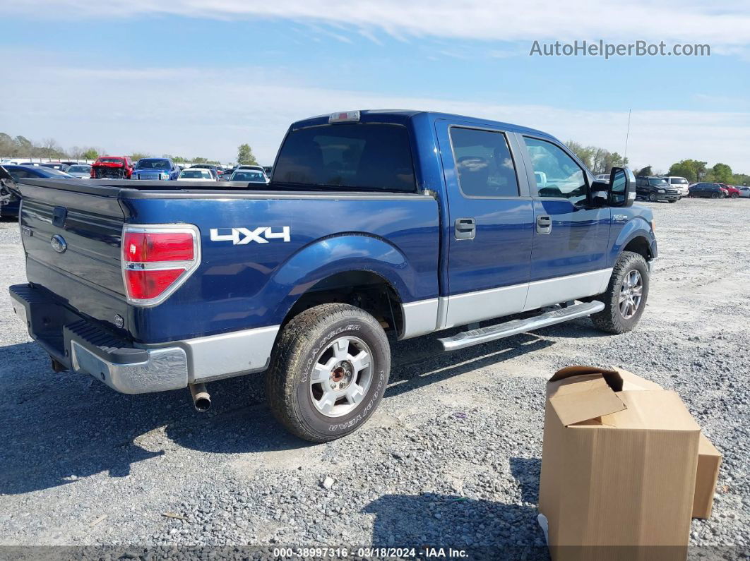 2010 Ford F-150 Xlt Blue vin: 1FTEW1E8XAFC74975