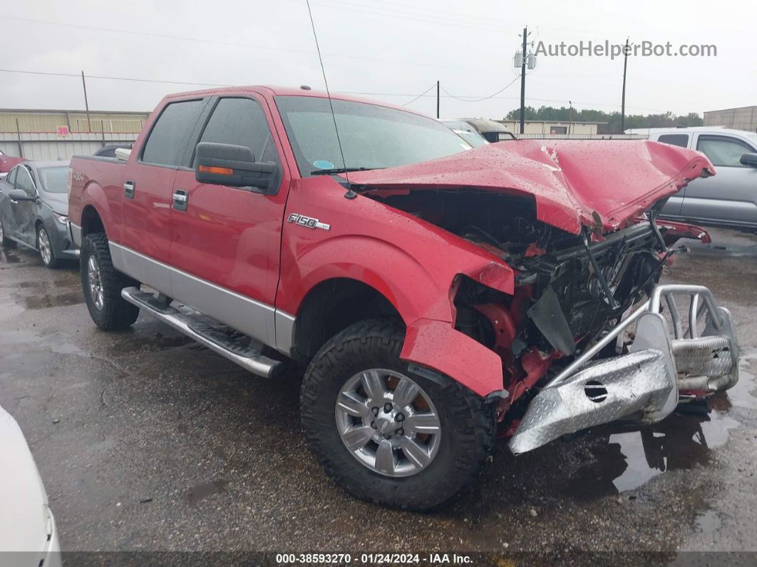 2010 Ford F-150 Xl/xlt Red vin: 1FTEW1E8XAFD18067