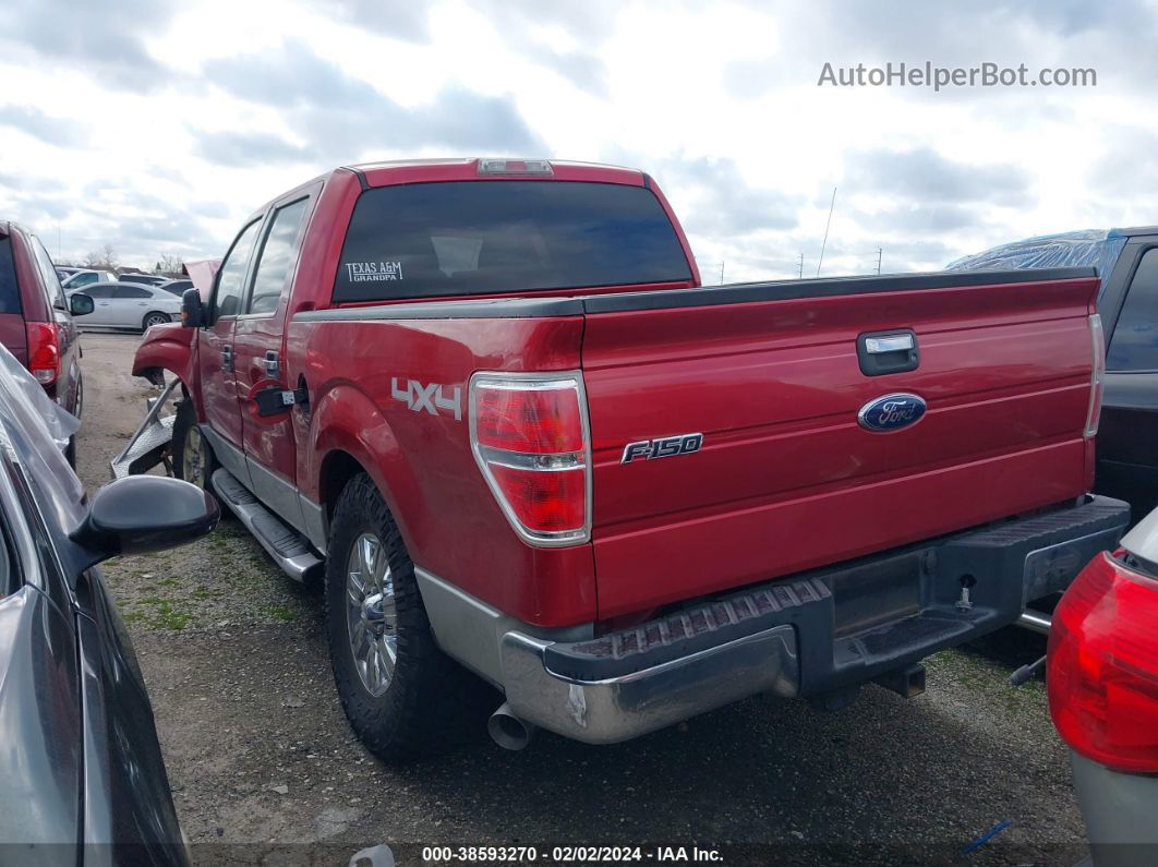 2010 Ford F-150 Xl/xlt Red vin: 1FTEW1E8XAFD18067