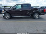 2019 Ford F-150 Xlt Purple vin: 1FTEW1EB0KFD16342