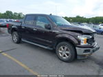 2019 Ford F-150 Xlt Purple vin: 1FTEW1EB0KFD16342