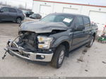 2017 Ford F-150 Xlt Gray vin: 1FTEW1EF1HKD06387