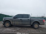 2017 Ford F-150 Xlt Серый vin: 1FTEW1EF7HKC90664