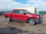 2017 Ford F-150 Xl/xlt/lariat Темно-бордовый vin: 1FTEW1EF8HKE07944