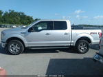 2017 Ford F-150 Xlt Silver vin: 1FTEW1EG4HKE04712