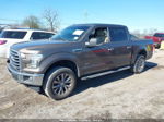 2017 Ford F-150 Xlt Brown vin: 1FTEW1EG5HFA92439