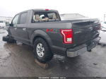 2017 Ford F-150 Xlt Серый vin: 1FTEW1EG7HKD21064