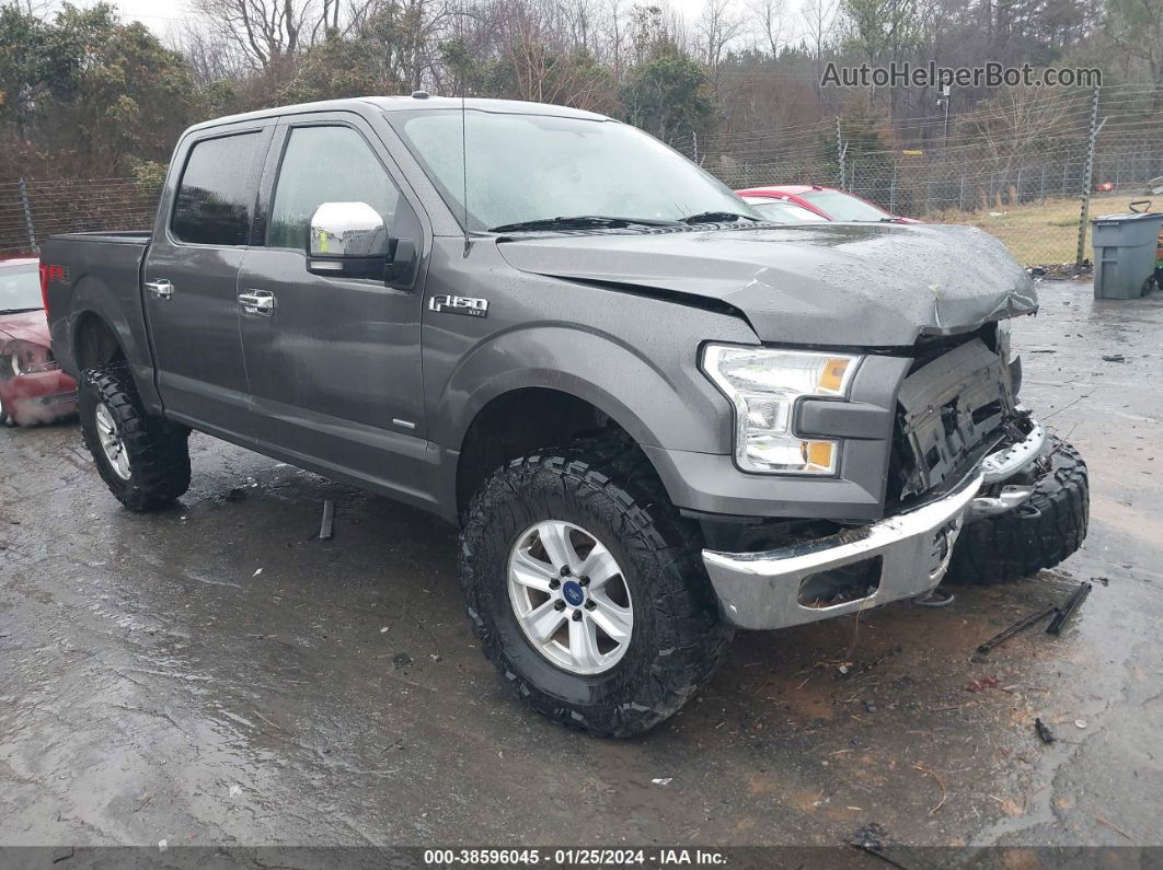 2017 Ford F-150 Xlt Gray vin: 1FTEW1EG7HKD21064