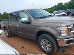 2018 Ford F-150 Xlt Brown vin: 1FTEW1EG7JKD84008