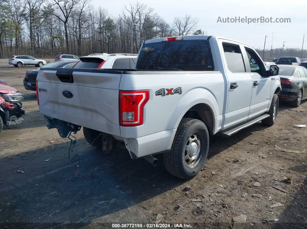 2017 Ford F-150 Xl White vin: 1FTEW1EG8HFB35722