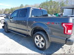 2017 Ford F-150 Xlt Gray vin: 1FTEW1EG9HFA41008