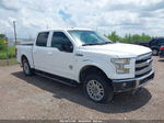 2017 Ford F-150 King Ranch White vin: 1FTEW1EG9HFC88688