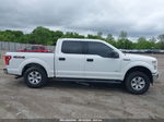 2017 Ford F-150 Xlt White vin: 1FTEW1EGXHFB67393