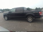 2017 Ford F-150 Xl/xlt/lariat Black vin: 1FTEW1EP0HFC82505