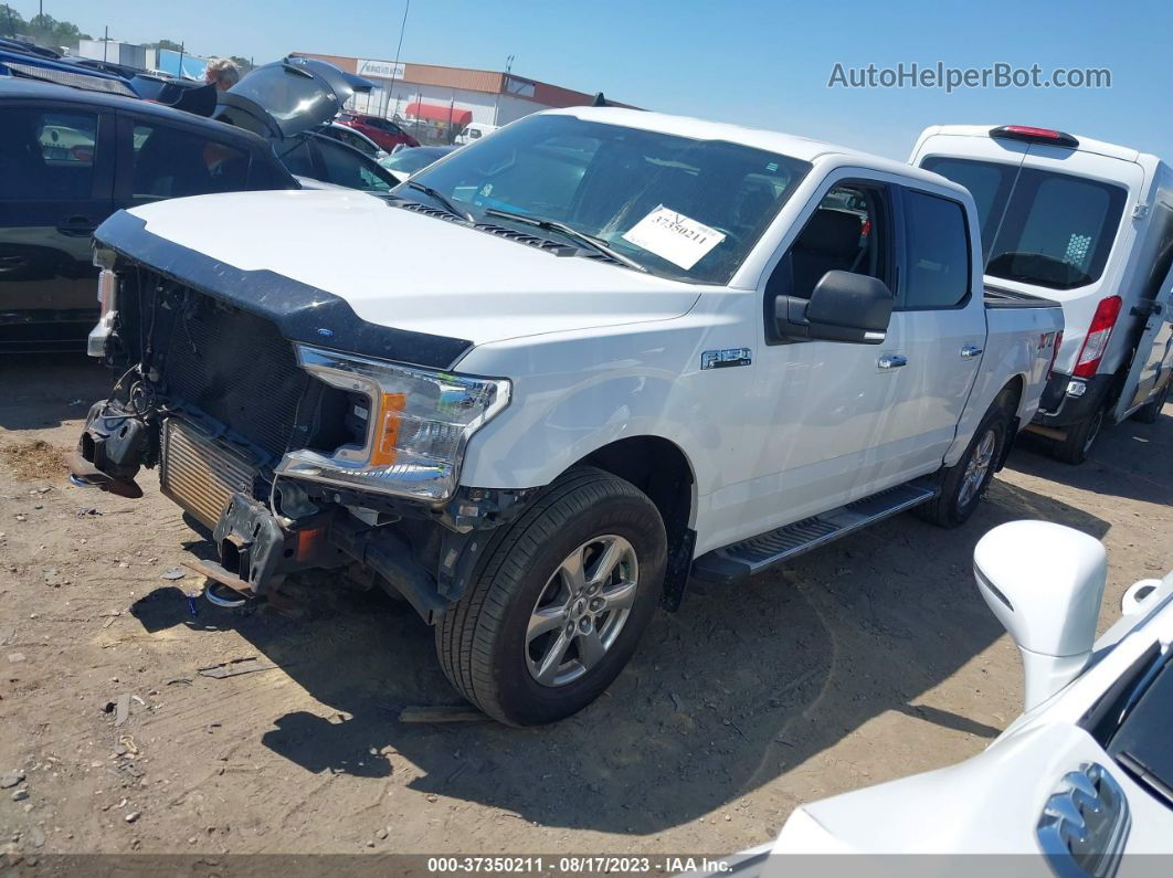 2019 Ford F-150 Xl/xlt/lariat White vin: 1FTEW1EP0KFB08344