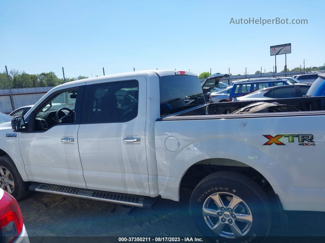 2019 Ford F-150 Xl/xlt/lariat White vin: 1FTEW1EP0KFB08344