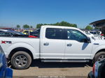 2019 Ford F-150 Xl/xlt/lariat White vin: 1FTEW1EP0KFB08344