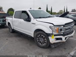 2019 Ford F-150 Xlt White vin: 1FTEW1EP0KFD44623