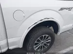 2019 Ford F-150 Xlt White vin: 1FTEW1EP0KFD44623