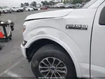 2019 Ford F-150 Xlt White vin: 1FTEW1EP0KFD44623