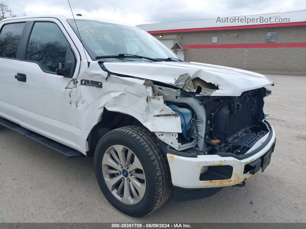 2018 Ford F-150 Xl White vin: 1FTEW1EP1JFD55404