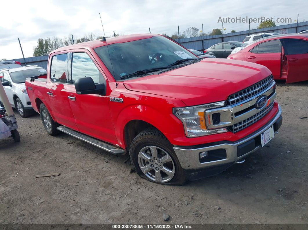 2019 Ford F-150 Xlt Red vin: 1FTEW1EP1KKD02596