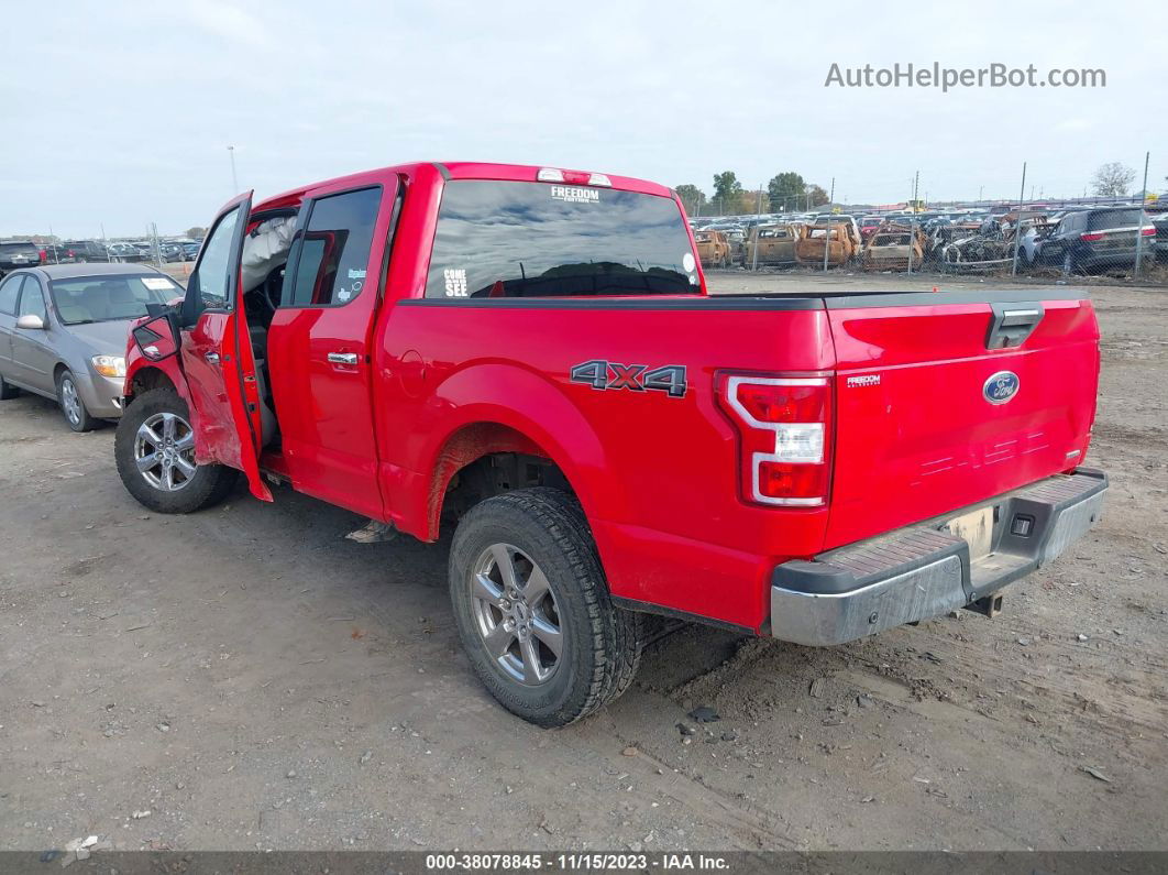 2019 Ford F-150 Xlt Red vin: 1FTEW1EP1KKD02596