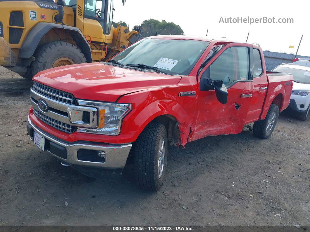 2019 Ford F-150 Xlt Red vin: 1FTEW1EP1KKD02596