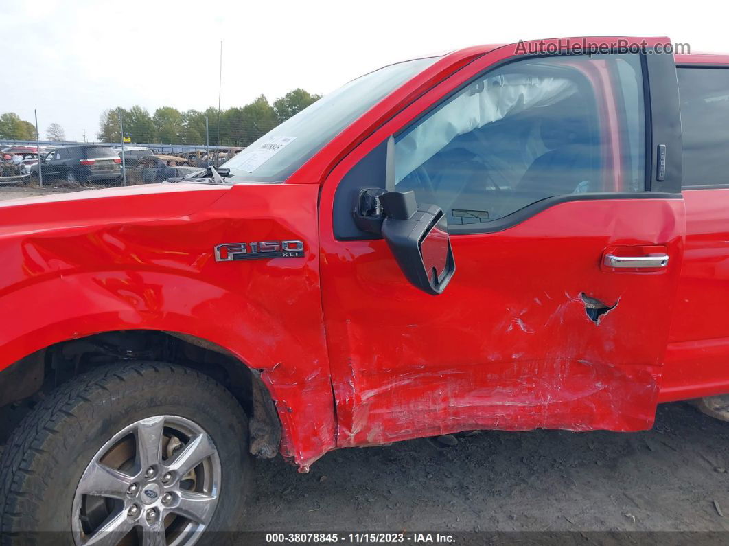 2019 Ford F-150 Xlt Red vin: 1FTEW1EP1KKD02596