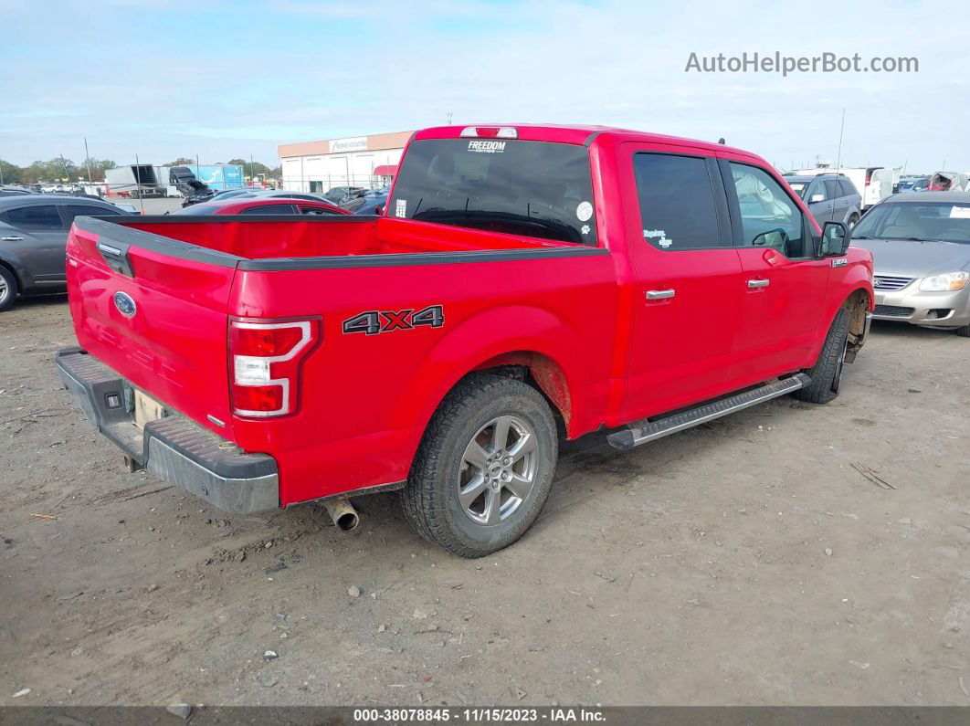 2019 Ford F-150 Xlt Red vin: 1FTEW1EP1KKD02596