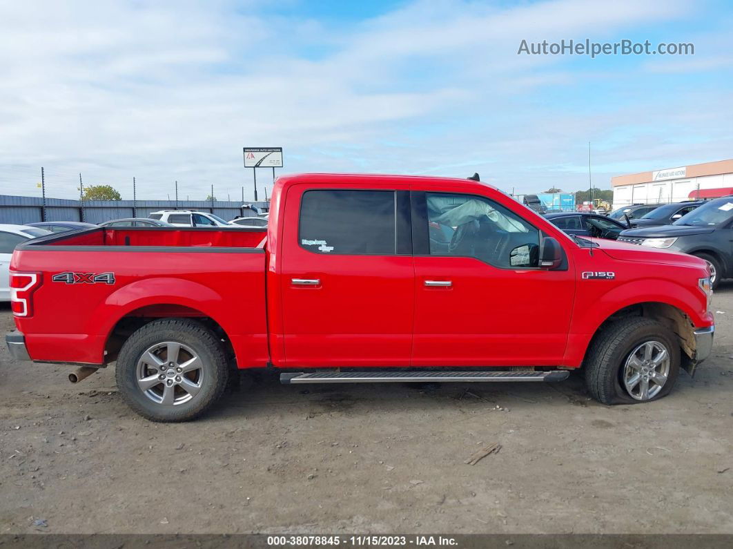 2019 Ford F-150 Xlt Red vin: 1FTEW1EP1KKD02596