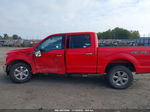 2019 Ford F-150 Xlt Красный vin: 1FTEW1EP1KKD02596