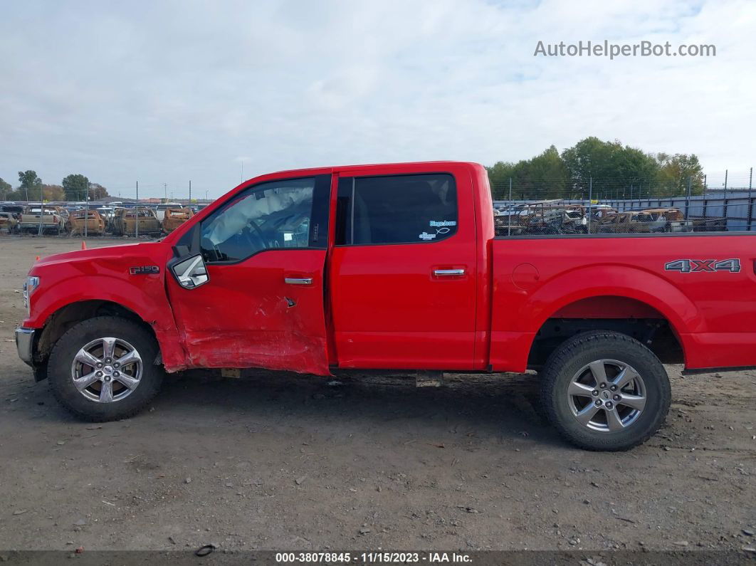 2019 Ford F-150 Xlt Red vin: 1FTEW1EP1KKD02596