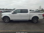 2019 Ford F-150 Xl/xlt/lariat White vin: 1FTEW1EP2KKD62919