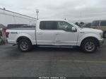 2019 Ford F-150 Xl/xlt/lariat White vin: 1FTEW1EP2KKD62919