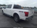 2019 Ford F-150 Xl/xlt/lariat White vin: 1FTEW1EP2KKD62919