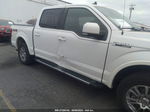 2019 Ford F-150 Xl/xlt/lariat White vin: 1FTEW1EP2KKD62919