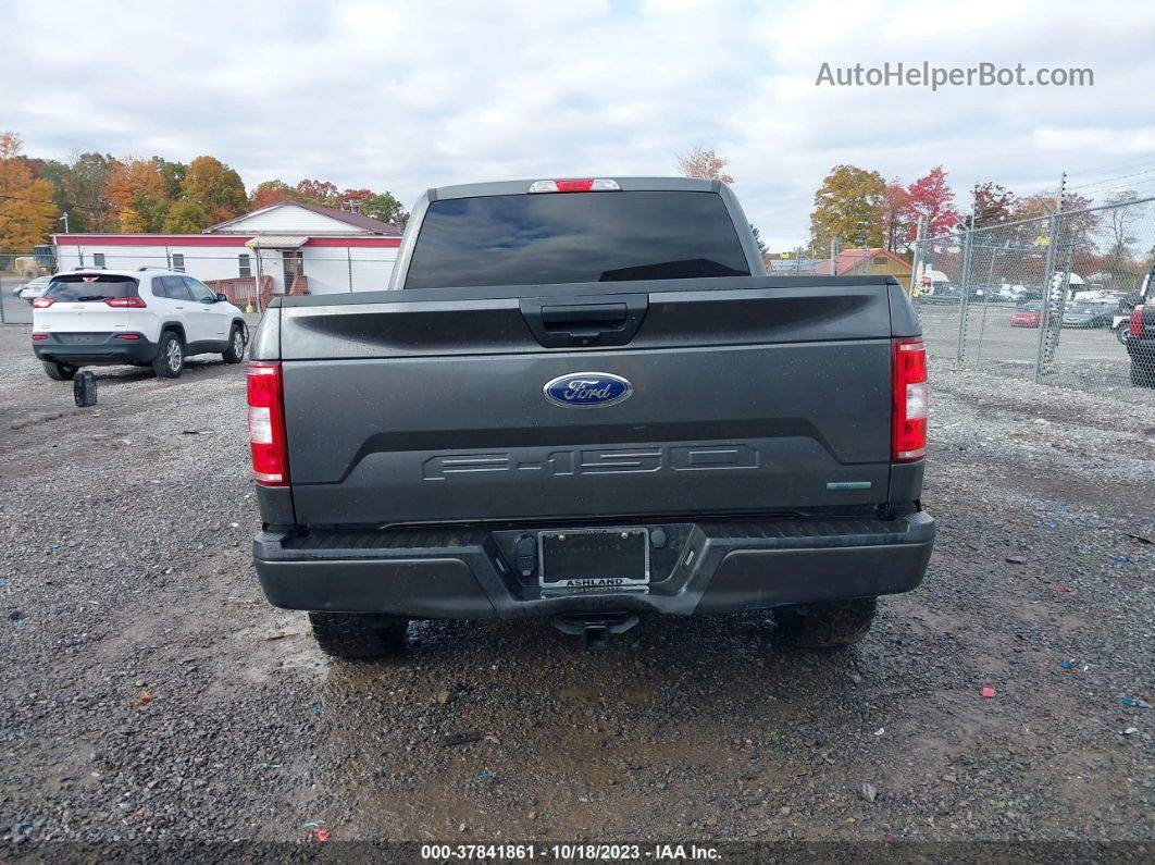 2019 Ford F-150 Xl Серый vin: 1FTEW1EP3KFA40864