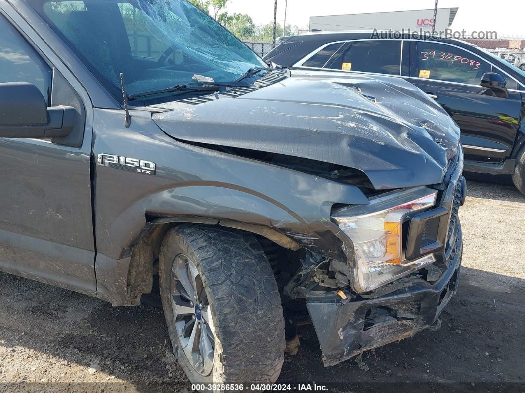 2019 Ford F-150 Xl Gray vin: 1FTEW1EP3KKD69524