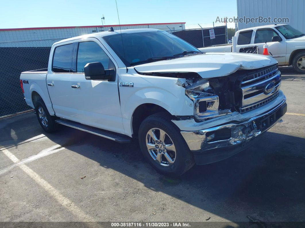 2019 Ford F-150 Xlt White vin: 1FTEW1EP4KFA12216