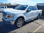 2019 Ford F-150 Xlt White vin: 1FTEW1EP4KFA12216