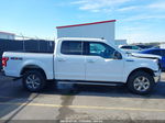 2019 Ford F-150 Xlt White vin: 1FTEW1EP4KFA12216