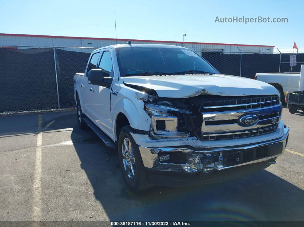 2019 Ford F-150 Xlt White vin: 1FTEW1EP4KFA12216