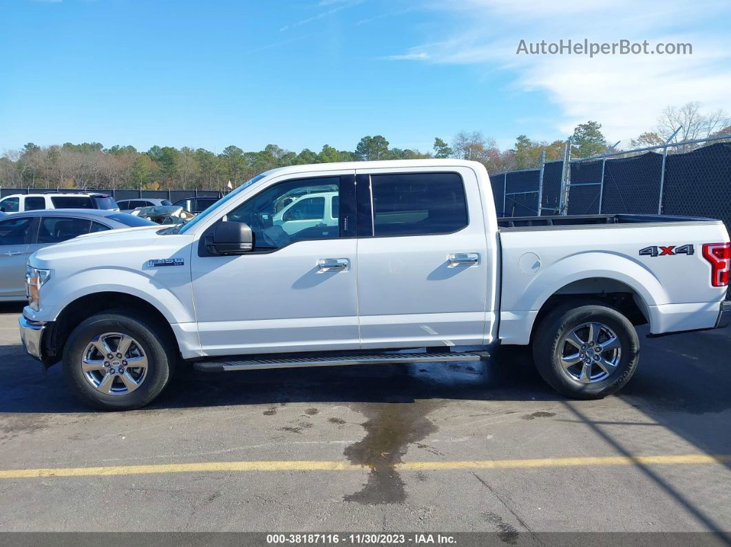 2019 Ford F-150 Xlt White vin: 1FTEW1EP4KFA12216