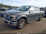 2017 Ford F-150 Xlt Gray vin: 1FTEW1EP6HFC54739